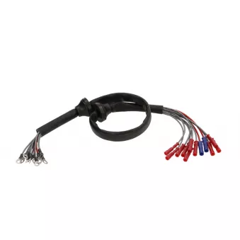 Kit de montage, kit de câbles SENCOM SEN6650124N pour MERCEDES-BENZ CLASSE E E 320 T - 220cv