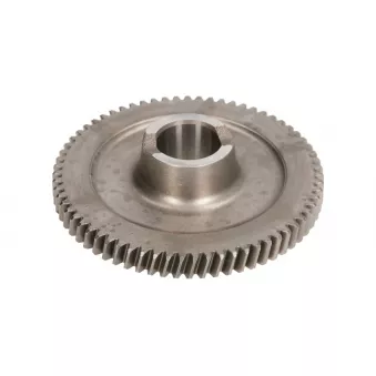 Engrenage ZF OEM 5001848348