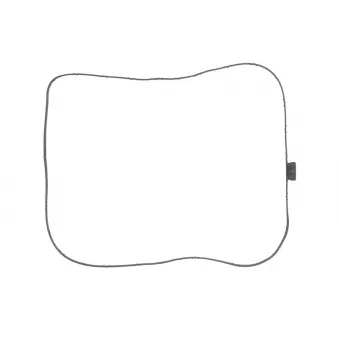 Joint, boîte de vitesses ZF OEM 24117571204