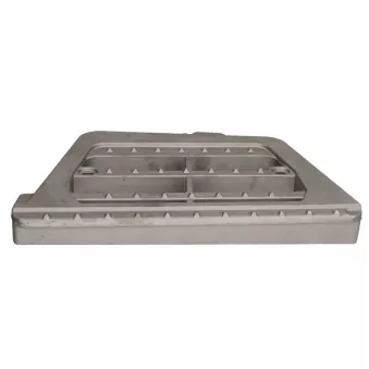 Marchepied COSPEL 1004.10020