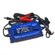 Chargeur de batterie MAGNETI MARELLI [007950007100]