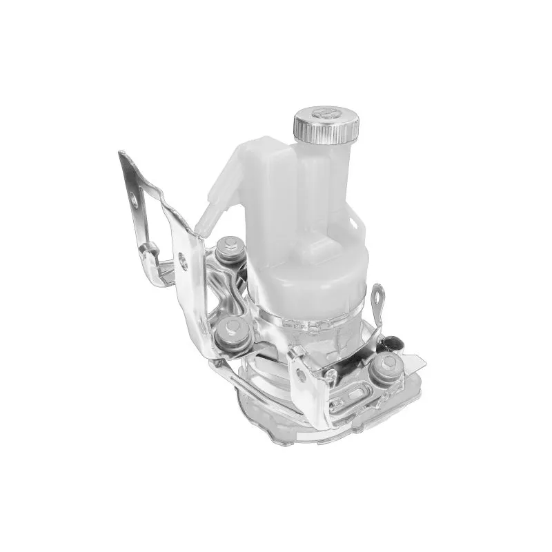 Pompe hydraulique, direction OE 491101612R - Visuel 1