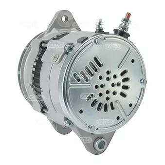 Alternateur CARGO OEM 6008219550