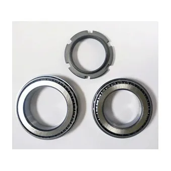 Roulement de roue arrière DELPHI OEM 4421370