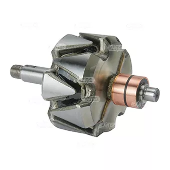 Coureur, générateur CARGO OEM 4808500
