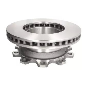 Jeu de 2 disques de frein arrière BERAL OEM 0308835037