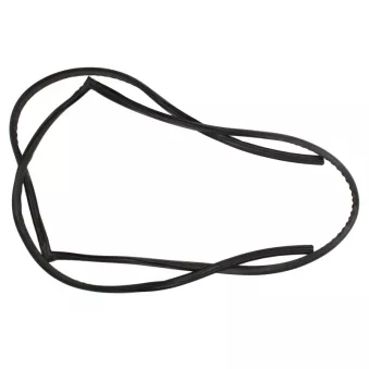 Joint de vitre SAINT-GOBAIN SEKURIT 1701301820 pour DAEWOO MATIZ 0.8 - 52cv