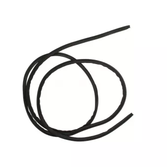 Joint de vitre SAINT-GOBAIN SEKURIT 4704551820 pour MITSUBISHI ECLIPSE 2.0 CD - 110cv