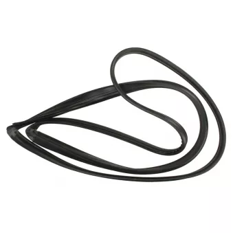 Joint de vitre SAINT-GOBAIN SEKURIT 7502351800 pour TOYOTA LAND CRUISER 4.2 TD - 160cv