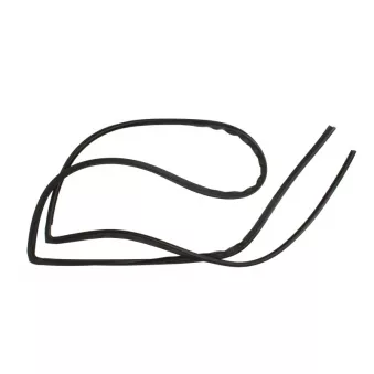 Joint de vitre SAINT-GOBAIN SEKURIT OEM A61DAT6044