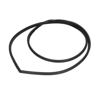 Joint de vitre SAINT-GOBAIN SEKURIT 5205301820 pour NISSAN MICRA 1.2 DIG - 98cv