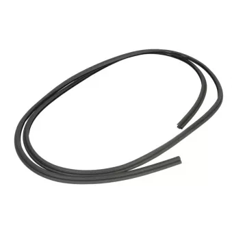 Joint de vitre SAINT-GOBAIN SEKURIT OEM 8200105499