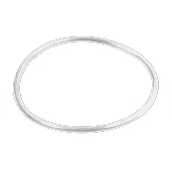 Joint torique de boîtier de différentiel OE [31511213527]