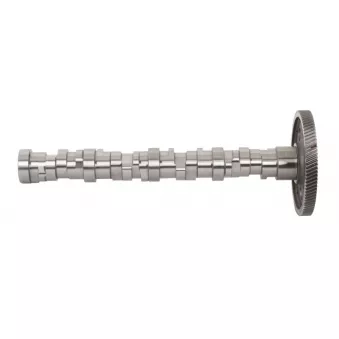 Arbre à cames BF 20 1003 54200