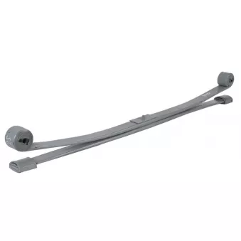 LS GERMANY 565224 - Groupe de ressorts