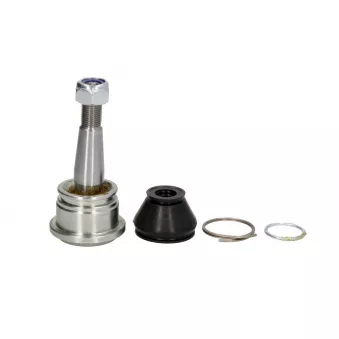 TEN CAR S022 - Rotule de suspension