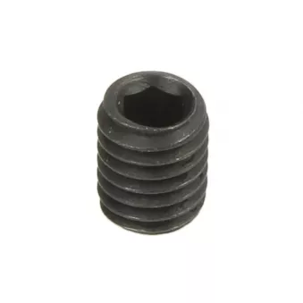 Accessoires et pièces de rechange pour démonte-pneus EVERT GB77-2000-M6X8