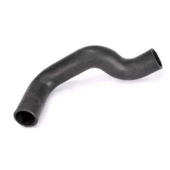 CZM 208706 - Durite de refroidissement