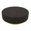 APP 80080302/3460932 - Éponge de polissage