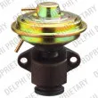 DELPHI EG10345-12B1 - Vanne EGR