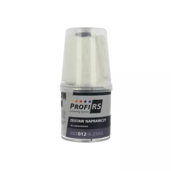 Mastic de carrosserie PROFIRS 0RS012-0.25KG