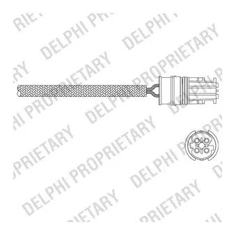 DELPHI ES11060-12B1 - Sonde lambda