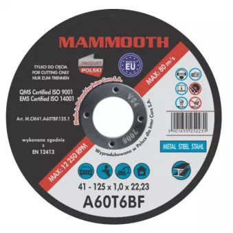 Disques à tronçonner MAMMOOTH M.CM41.A60TBF.125.1/B
