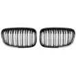 SPEEDMAX FS 01-20-01 - Grille de radiateur