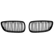 SPEEDMAX FS 03-92-01 - Grille de radiateur avant gauche