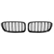SPEEDMAX FS 03-30-01 - Enjoliveur, grille de radiateur