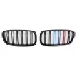 SPEEDMAX FS 03-30-03 - Enjoliveur, grille de radiateur