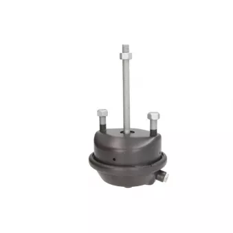 Cylindre de frein à ressort KNORR BX 3419 pour SCANIA 4 - series 94 G/260 - 260cv