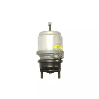 Cylindre de roue KNORR K007669N00 pour MAN TGA 18,510 - 510cv