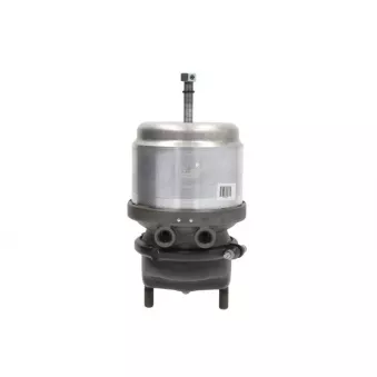 Cylindre de roue à ressort KNORR BS 8329 pour MERCEDES-BENZ ACTROS MP2 / MP3 2554 LS - 537cv
