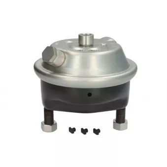 Cylindre de frein à diaphragme KNORR K159123N50 pour MERCEDES-BENZ ACTROS MP2 / MP3 2665 LS - 653cv