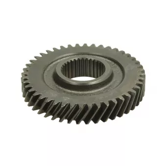 Pignon de boîte de vitesses EURORICAMBI OEM 55182045 Pignon de boîte de vitesses EURORICAMBI OEM 55182045