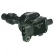 DELPHI GN10422-12B1 - Bobine d'allumage