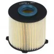 Filtre à carburant DELPHI [HDF623]