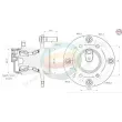 ODM-MULTIPARTS 70-080143 - Roulement de roue arrière