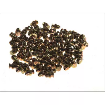 BORG SMC010/100SZT - Graisseur