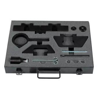 Piges de calage moteur HP ZUP OEM 113390