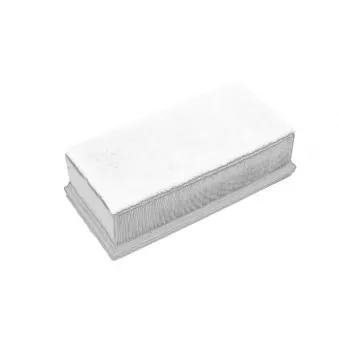 Filtre à air OE OEM 178010R010