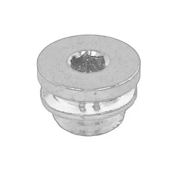 Bouchon de liquide de refroidissement dans le bloc moteur OE [504016052]