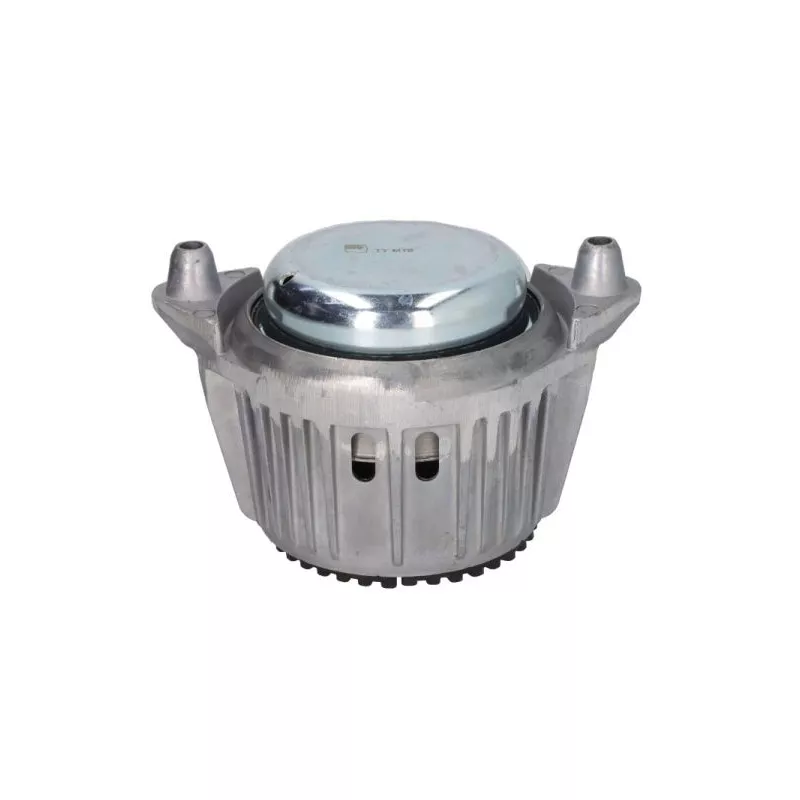 Support moteur REINHOCH RH11-3101 - Visuel 1