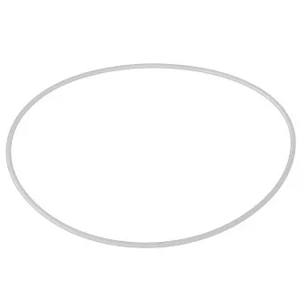 Joint d'huile du vilebrequin OE VM46320270