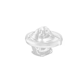 Thermostat d'eau OE 55111017AD