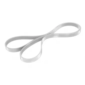 Courroie Poly V OE OEM 4627897AB