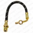 Flexible de frein DELPHI [LH0188]