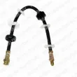 DELPHI LH0200 - Flexible de frein