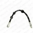 DELPHI LH0362 - Flexible de frein